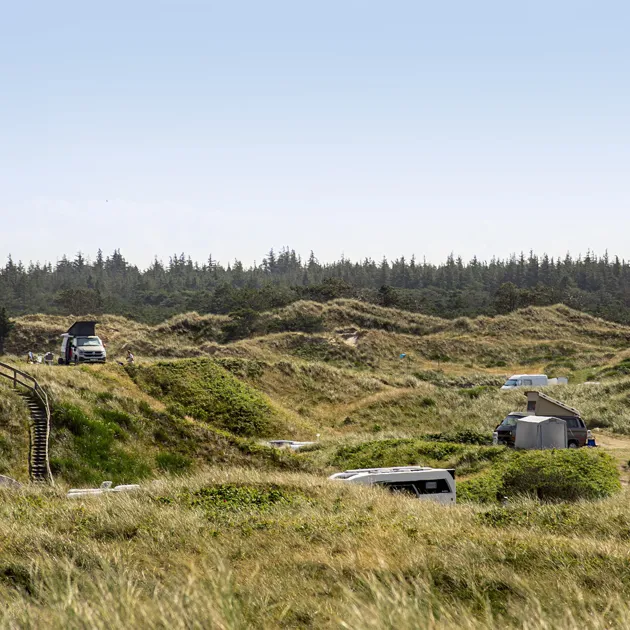 Vejers Strand Camping Pladsen Overblik